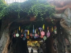 -横店影视城梦幻谷园区