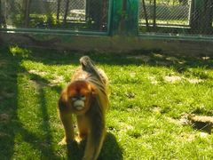 -西安秦岭野生动物园