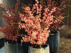 -番茄按摩·影院足道·柔足SPA