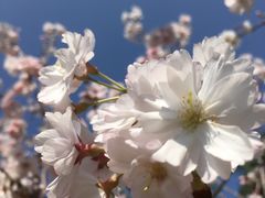 -观澜湖生态运动公社