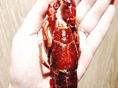 -洪福龙虾