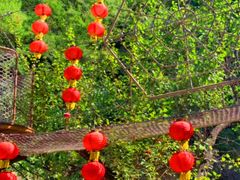 -黑龙潭风景区