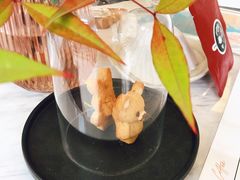 -red donkey coffee