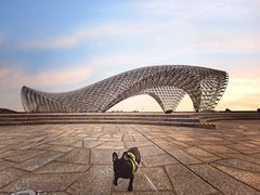 -南汇嘴观海公园