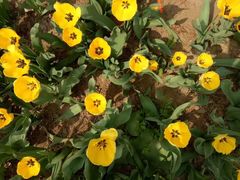 -石家庄市动物园