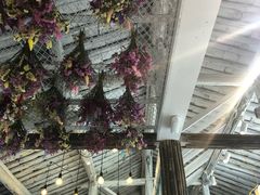 -喵屿·大理花园猫咖