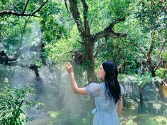 -Chom Cafe and Restaurant