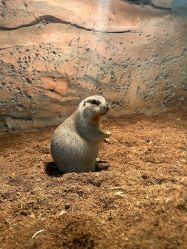 -Zoolung Zoolung动物主题公园(海信广场店)