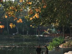 -泰州凤城河风景区-泰山公园