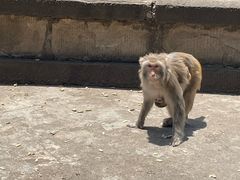 -白帝城·瞿塘峡景区