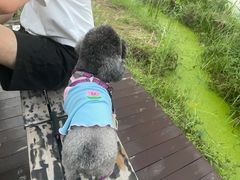 -Supine Bistro溯泮餐厅