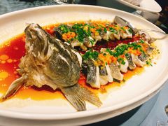 笋壳鱼-九福楼大酒店