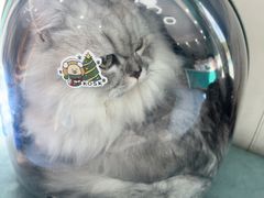 -博特宠物医院24h犬猫全科.骨科·异宠