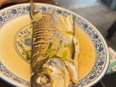 清蒸白条-兰边碗(鼓楼店)