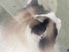 -白兔子密室(长寿路店)