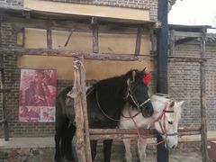 -清风小镇闯关东影视基地