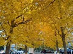 -锦江富园大酒店-游泳馆