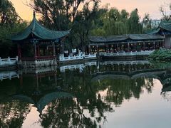 -MAP CHA普洱茶馆(翠湖店)