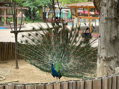 -辛玛王国游乐园