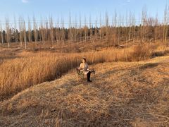 -鄂尔多斯野生动物园