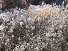 -黄河三峡风景名胜区