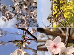 -艾山风景名胜区