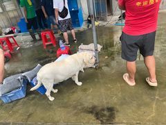 -台山新孖宝柴火黄鳝饭(三合温泉店)