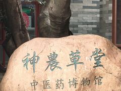 -广州神农草堂中医药博物馆
