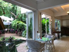 -Fern Forest Cafe