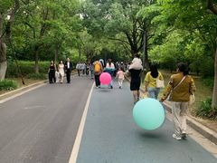 -吴淞炮台湾湿地森林公园烧烤区