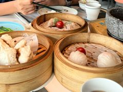 -新兴·金羊座·粤菜点心(乐峰店)