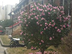-上海交通大学医学院附属瑞金医院(总院)