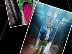 -林记开心动物奶油生日蛋糕(江南春晓店)