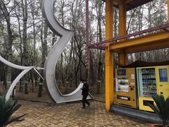-枫花园汽车电影院(朝阳公园店)
