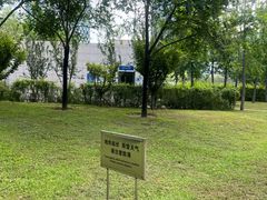 -大望京公园