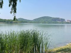 -西山漾湿地公园