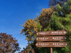 -少华山国家森林公园
