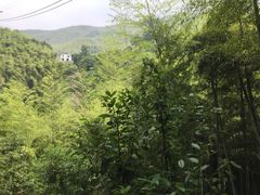 -山沟沟景区