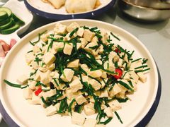 沙葱拌豆腐-宁夏国强手抓羊肉·清真菜(未央路凤三店)
