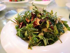 -鸢飞潍坊菜馆(鸢飞大酒店)