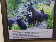 -陈记贵州遵义羊肉粉·酸汤鱼(法华镇路店)