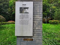 -神仙树公园