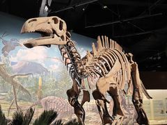 -辽宁古生物博物馆