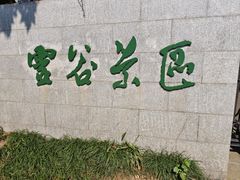 -灵谷景区