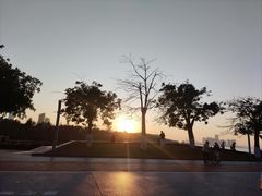-万绿园
