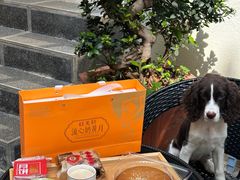 -桂美轩传承店(护国路店)