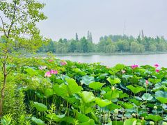 -云幽谷旅游区