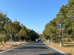 -苏州湾体育公园