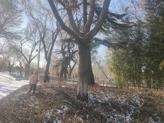 -丰台花园