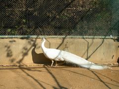 -荆州中山公园动物园